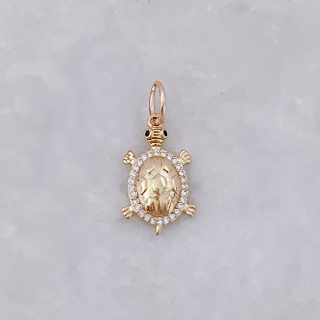 Turtle - Charm