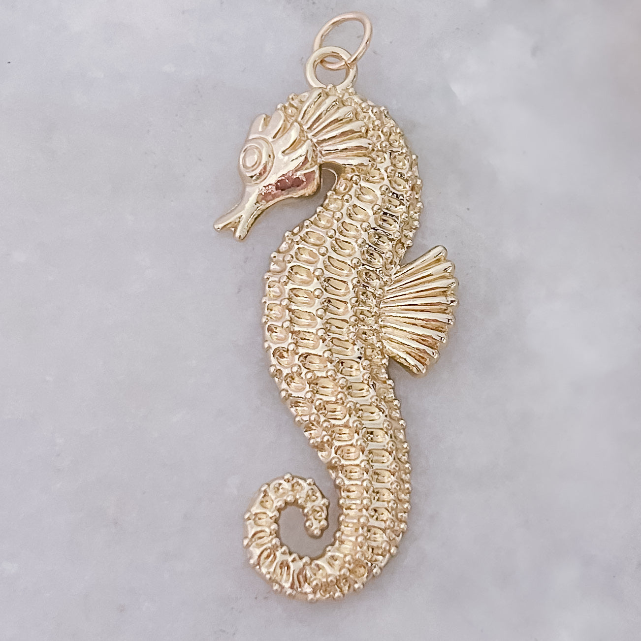 Big Seahorse - Charm
