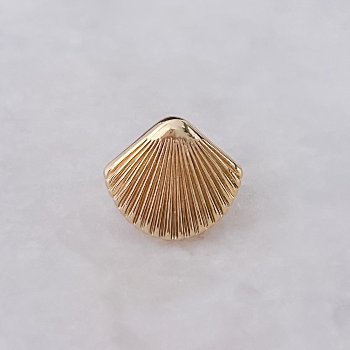 Shell Ring