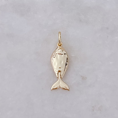 Motion Minnow - Charm