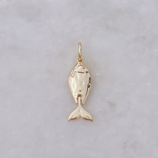 Motion Minnow - Charm