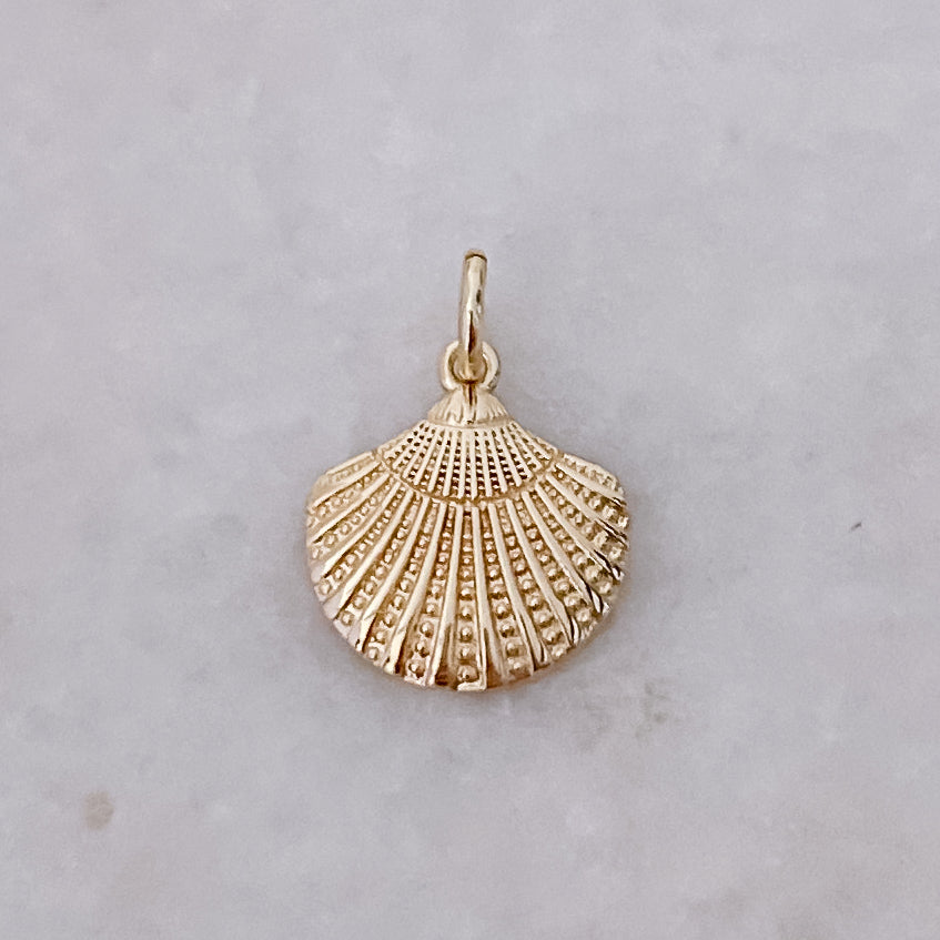 Scallop Shell - Charm