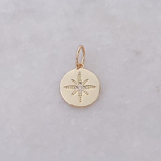 Star Coin - Charm