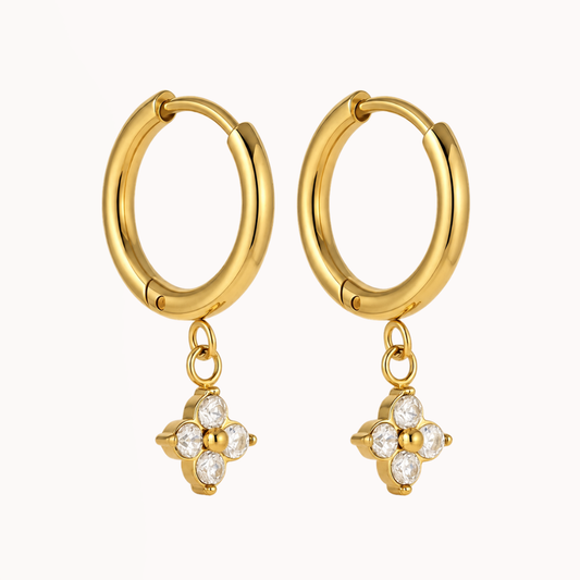 Clover Hoops