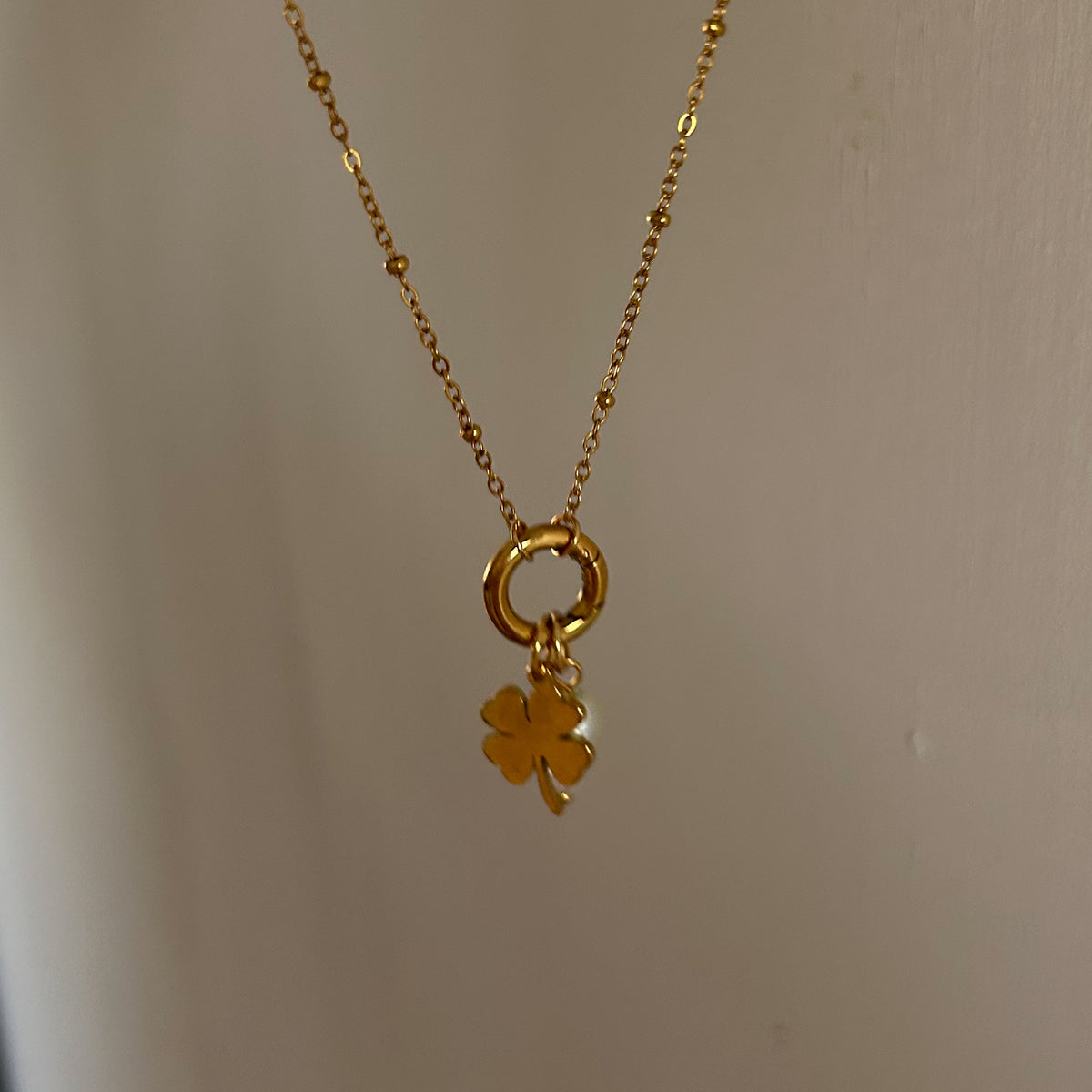 Lucky Charm Necklace Set