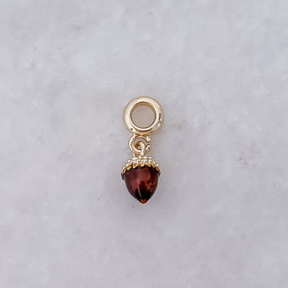Acorn - Charm