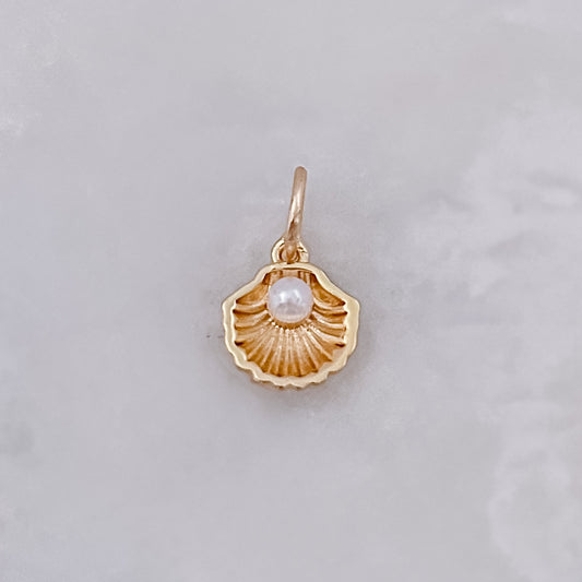 Treassure Shell - Charm
