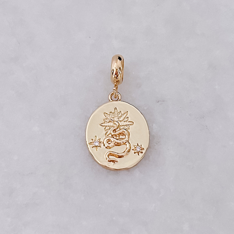 Snakes + Stars Charm – VIVI VEE