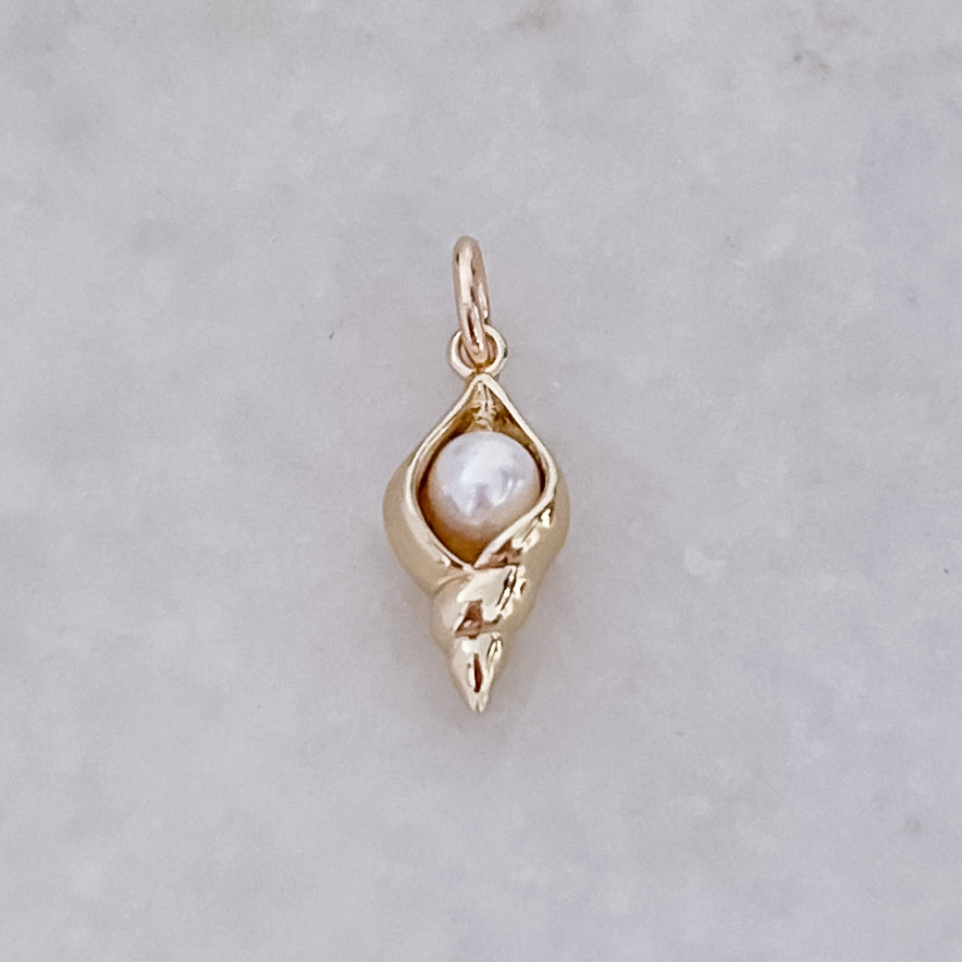 Mystery Shell - Charm