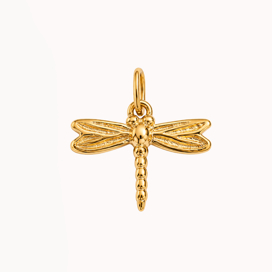 Dragonfly - Charm