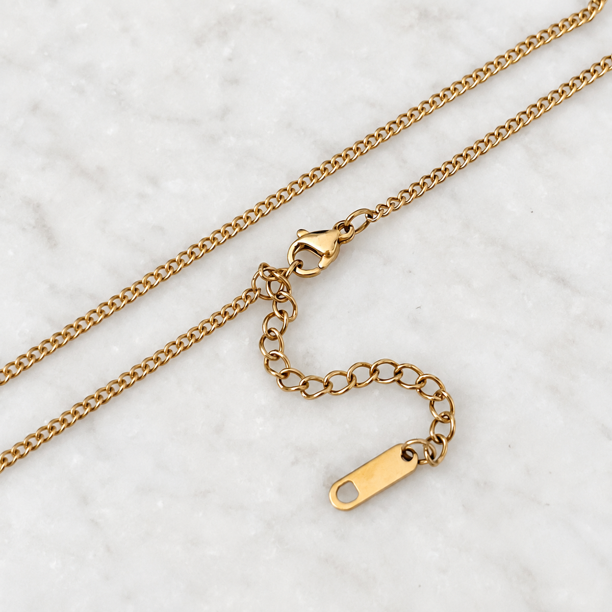 Delicate Curb Necklace