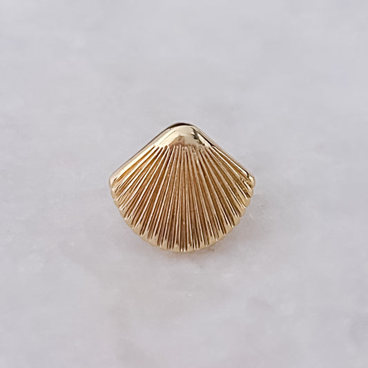 Shell Ring