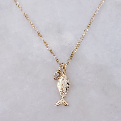 Motion Minnow - Charm